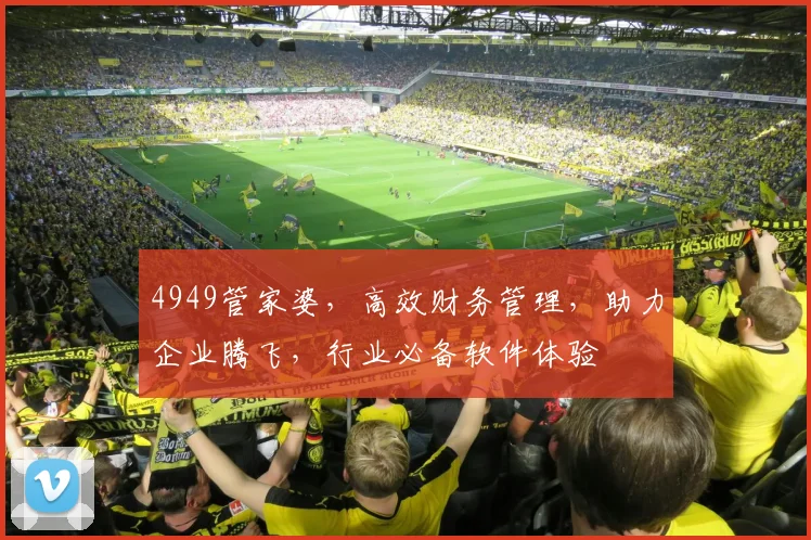 4949管家婆，高效财务管理，助力企业腾飞，行业必备软件体验