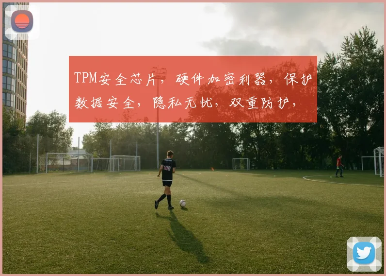 TPM安全芯片，硬件加密利器，保护数据安全，隐私无忧，双重防护，值得信赖。
