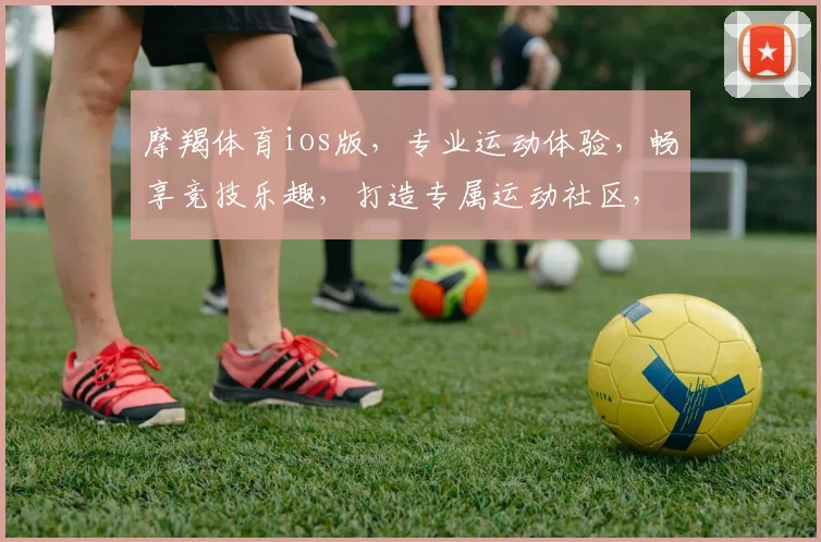 摩羯体育ios版，专业运动体验，畅享竞技乐趣，打造专属运动社区，一触即达