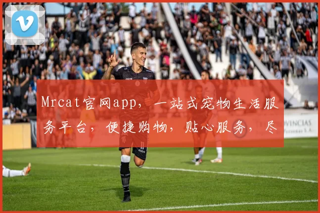 Mrcat官网app，一站式宠物生活服务平台，便捷购物，贴心服务，尽享宠物生活乐趣，快来体验