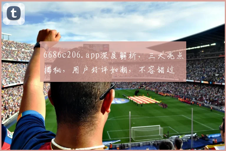 6686c206.app深度解析，三大亮点揭秘，用户好评如潮，不容错过