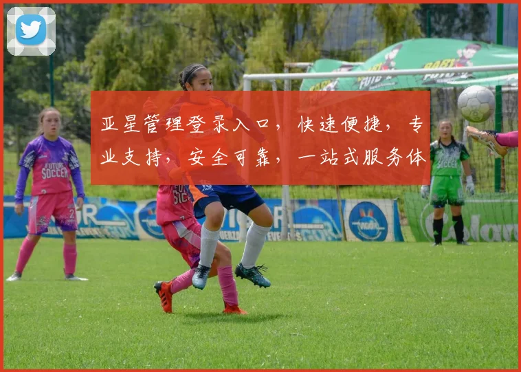亚星管理登录入口，快速便捷，专业支持，安全可靠，一站式服务体验