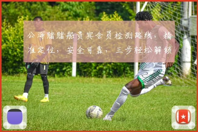 公海赌赌船贵宾会员检测路线，精准定位，安全可靠，三步轻松解锁